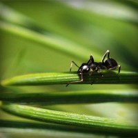 /album/renkli/photolia-a05-jpg/